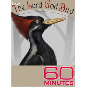 60 Minutes - The Lord God Bird (October 16, 2005) Cover