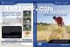 Simon Holmes: Digital Golf School, Vol. 2 - Max Improvement