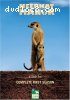 Meerkat Manor - Complete First Season (4 DVD Set)