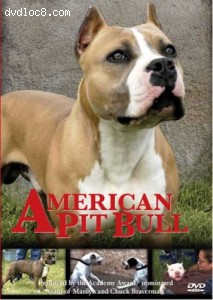 American Pit Bull Cover