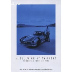 Gullwing at Twilight, A Cover