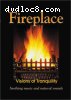 Fireplace - Visions of Tranquility