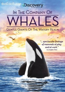 In the Company of Whales Cover