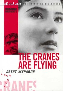 Cranes Are Flying, The Cover