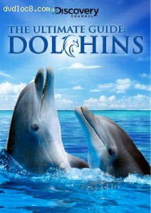 Ultimate Guide: Dolphins Cover