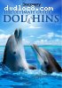 Ultimate Guide: Dolphins