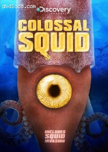 Colossal Squid Cover