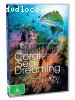 Coral Sea Dreaming: Awaken