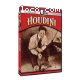 American Experience: Houdini
