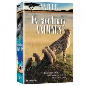 Nature: Extraordinary Animals Cover