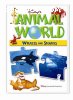 Animal World: Whales And Sharks