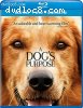 Dog's Purpose, A [Blu-ray + DVD + Digital HD]