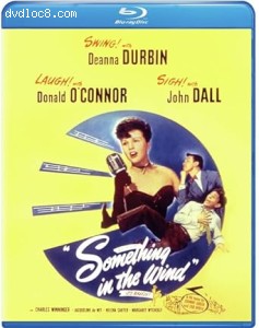 Something in the Wind [Blu-Ray] Cover