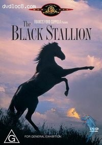 Black Stallion, The Cover