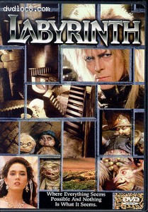 Labyrinth Cover