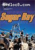 Music in High Places: Sugar Ray - Live from Australia