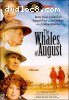 Whales Of August, The