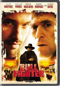 Bullfighter Cover