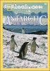 National Geographic: Antarctic Wildlife Adventure