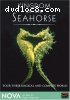 NOVA: Kingdom of the Seahorse