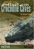 NOVA: Secrets of the Crocodile Caves