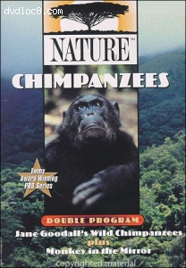 Nature: Chimpanzees Cover