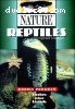 Nature: Reptiles 2