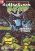 Teenage Mutant Ninja Turtles: The Shredder Strikes (Volume 4)