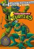 Teenage Mutant Ninja Turtles: Original Series (Volume 2)