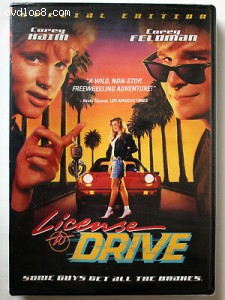 License To Drive