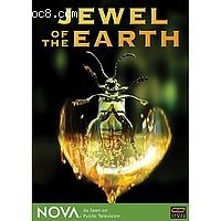 Jewel of the Earth Cover