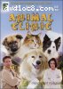 Animal Clinic