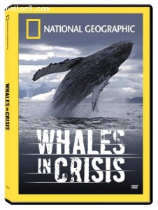 National Geographic: Whales in Crisis Cover