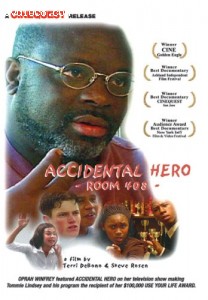 Accidental Hero Cover