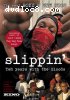 Slippin: Ten Years with the Bloods