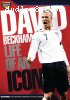 David Beckham: Life Of An Icon
