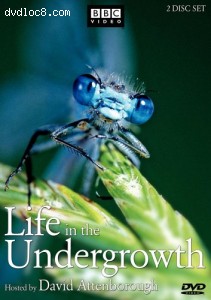 Life in the Undergrowth Cover