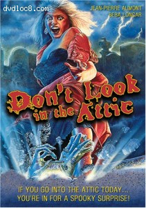 Don't Look in the Attic Cover