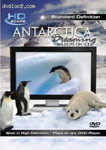 Antarctica Dreaming: Wildlife On Ice Cover