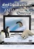 Antarctica Dreaming: Wildlife On Ice