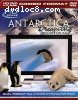 Antarctica Dreaming: Wildlife On Ice (HD DVD + DVD Combo Disc)