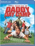 Cover Image for 'Daddy Day Camp'