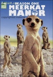 Meerkat Manor: Season One Cover
