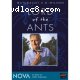 Naturalist E.O. Wilson- Lord of the Ants - NOVA