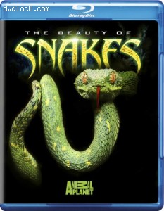 Beauty of Snakes, The [Blu-ray] Cover