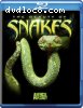 Beauty of Snakes, The [Blu-ray]