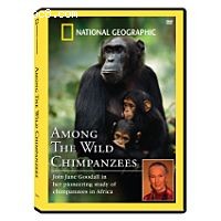 National Geographic's Among the Wild Chimpanzees Cover