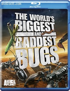 World's Biggest and Baddest Bugs, The [Blu-ray] Cover