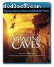 IMAX: Journey Into Amazing Caves [Blu-ray]