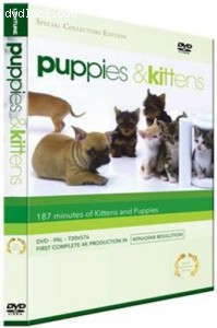 Puppies and Kittens Cover